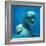 Bottlenose Dolphin Two Facing Camera-Augusto Leandro Stanzani-Framed Photographic Print