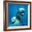 Bottlenose Dolphin Two Facing Camera-Augusto Leandro Stanzani-Framed Photographic Print