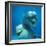 Bottlenose Dolphin Two Facing Camera-Augusto Leandro Stanzani-Framed Photographic Print