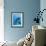 Bottlenose Dolphin Underwater-Augusto Leandro Stanzani-Framed Photographic Print displayed on a wall