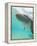 Bottlenose Dolphin-Stuart Westmorland-Framed Premier Image Canvas