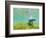 Bottlenose Dolphin-Stuart Westmorland-Framed Photographic Print