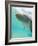 Bottlenose Dolphin-Stuart Westmorland-Framed Photographic Print