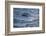 Bottlenose Dolphin-DLILLC-Framed Photographic Print