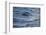 Bottlenose Dolphin-DLILLC-Framed Photographic Print