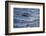 Bottlenose Dolphin-DLILLC-Framed Photographic Print