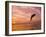 Bottlenose Dolphins, Caribbean Sea Near Roatan, Honduras-Stuart Westmoreland-Framed Photographic Print