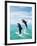 Bottlenose Dolphins Spinning in Water-null-Framed Photographic Print