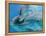 Bottlenose Dolphins, Three Close-Up of Heads Underwater-Augusto Leandro Stanzani-Framed Premier Image Canvas