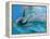 Bottlenose Dolphins, Three Close-Up of Heads Underwater-Augusto Leandro Stanzani-Framed Premier Image Canvas