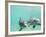 Bottlenose Dolphins-Stuart Westmorland-Framed Photographic Print