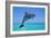 Bottlenosed Dolphin Leaping Out of Water-null-Framed Photographic Print