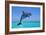 Bottlenosed Dolphin Leaping Out of Water-null-Framed Photographic Print