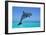 Bottlenosed Dolphin Leaping Out of Water-null-Framed Photographic Print