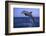 Bottlenosed Dolphin Leaping-DLILLC-Framed Photographic Print