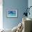 Bottlenosed Dolphin-null-Framed Photographic Print displayed on a wall