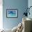 Bottlenosed Dolphin-null-Framed Photographic Print displayed on a wall