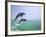 Bottlenosed Dolphins Breaching-Stuart Westmorland-Framed Photographic Print