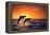 Bottlenosed Dolphins Leaping at Sunset-DLILLC-Framed Premier Image Canvas