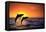 Bottlenosed Dolphins Leaping at Sunset-DLILLC-Framed Premier Image Canvas