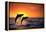 Bottlenosed Dolphins Leaping at Sunset-DLILLC-Framed Premier Image Canvas