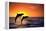 Bottlenosed Dolphins Leaping at Sunset-DLILLC-Framed Premier Image Canvas