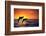 Bottlenosed Dolphins Leaping at Sunset-DLILLC-Framed Photographic Print