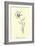 Bottlephorkia Spoonifolia-Edward Lear-Framed Giclee Print