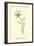 Bottlephorkia Spoonifolia-Edward Lear-Framed Giclee Print