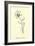 Bottlephorkia Spoonifolia-Edward Lear-Framed Giclee Print