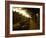 Bottles in the Treasure Chamber, Maison Louis Jadot, Beaune, Cote d'Or, Burgundy, France-Per Karlsson-Framed Photographic Print