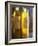 Bottles of Olive Oil, Chateau Vannieres, La Cadiere d'Azur, Bandol, Var, Cote d'Azur, France-Per Karlsson-Framed Photographic Print