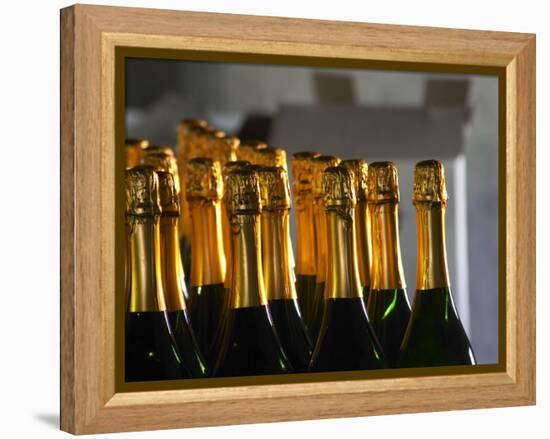 Bottles of Sparkling Wine, Bodega Carlos Pizzorno Winery, Canelon Chico, Canelones, Uruguay-Per Karlsson-Framed Premier Image Canvas