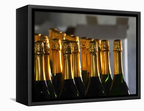 Bottles of Sparkling Wine, Bodega Carlos Pizzorno Winery, Canelon Chico, Canelones, Uruguay-Per Karlsson-Framed Premier Image Canvas