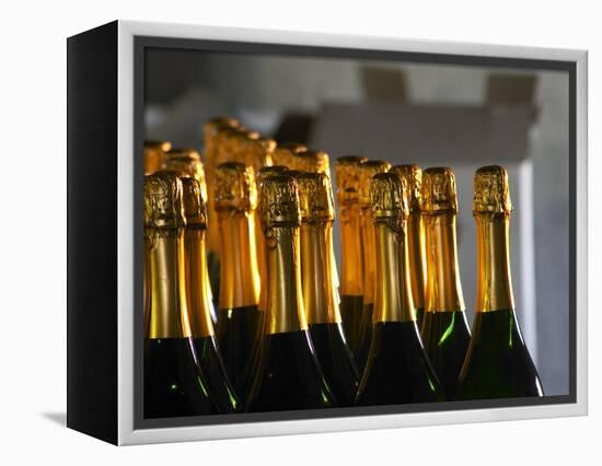 Bottles of Sparkling Wine, Bodega Carlos Pizzorno Winery, Canelon Chico, Canelones, Uruguay-Per Karlsson-Framed Premier Image Canvas