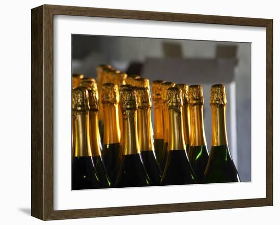 Bottles of Sparkling Wine, Bodega Carlos Pizzorno Winery, Canelon Chico, Canelones, Uruguay-Per Karlsson-Framed Photographic Print