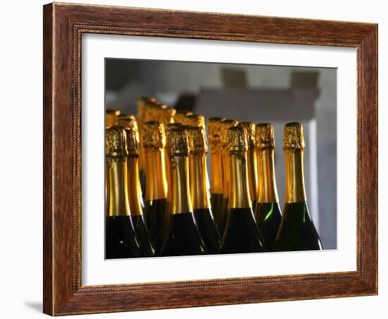 Bottles of Sparkling Wine, Bodega Carlos Pizzorno Winery, Canelon Chico, Canelones, Uruguay-Per Karlsson-Framed Photographic Print