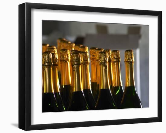 Bottles of Sparkling Wine, Bodega Carlos Pizzorno Winery, Canelon Chico, Canelones, Uruguay-Per Karlsson-Framed Photographic Print