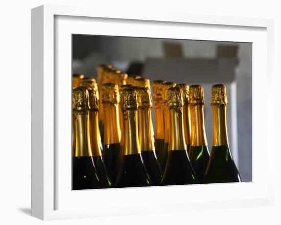 Bottles of Sparkling Wine, Bodega Carlos Pizzorno Winery, Canelon Chico, Canelones, Uruguay-Per Karlsson-Framed Photographic Print