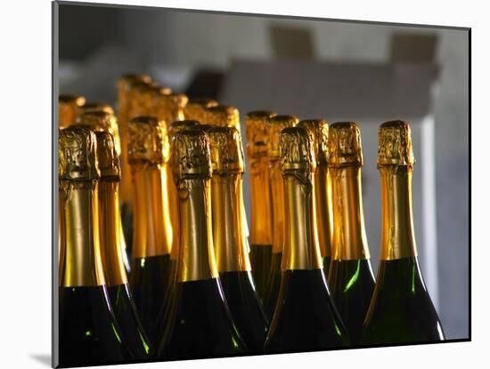 Bottles of Sparkling Wine, Bodega Carlos Pizzorno Winery, Canelon Chico, Canelones, Uruguay-Per Karlsson-Mounted Photographic Print