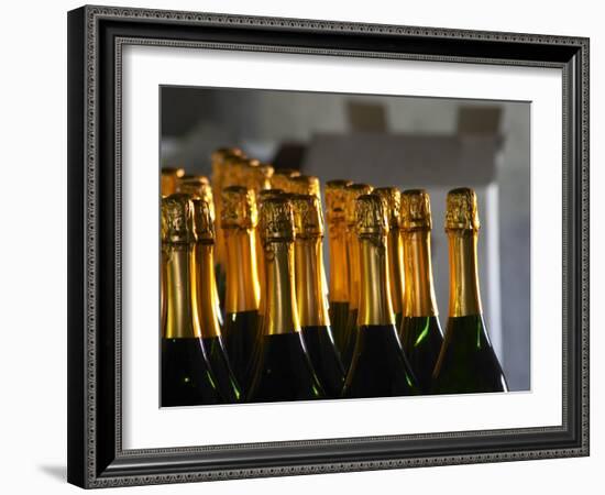 Bottles of Sparkling Wine, Bodega Carlos Pizzorno Winery, Canelon Chico, Canelones, Uruguay-Per Karlsson-Framed Photographic Print