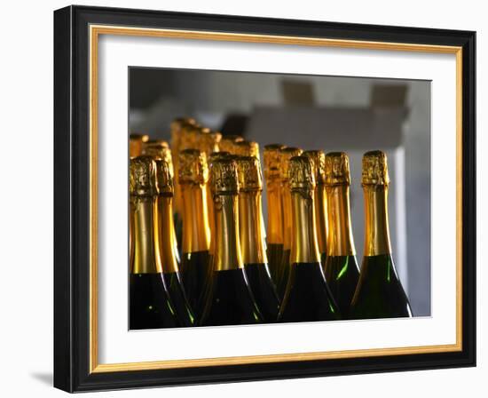 Bottles of Sparkling Wine, Bodega Carlos Pizzorno Winery, Canelon Chico, Canelones, Uruguay-Per Karlsson-Framed Photographic Print