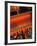 Bottles of Spirits, Camps Bay, South Africa, Africa-Yadid Levy-Framed Photographic Print