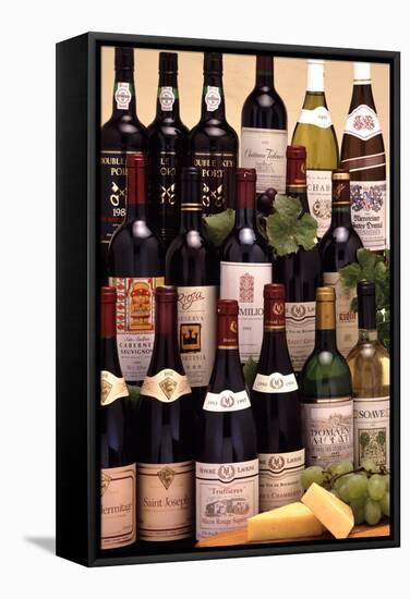 Bottles of Wine-Victor De Schwanberg-Framed Premier Image Canvas