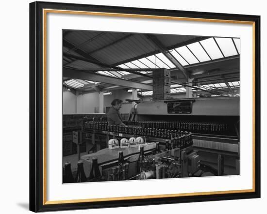 Bottling Beer at Ward and Sons Bottling Plant, Swinton, South Yorkshire, 1961-Michael Walters-Framed Photographic Print