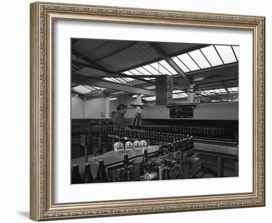 Bottling Beer at Ward and Sons Bottling Plant, Swinton, South Yorkshire, 1961-Michael Walters-Framed Photographic Print