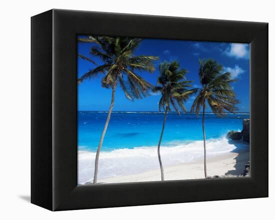 Bottom Bay, Barbados, West Indies, Caribbean, Central America-John Miller-Framed Premier Image Canvas