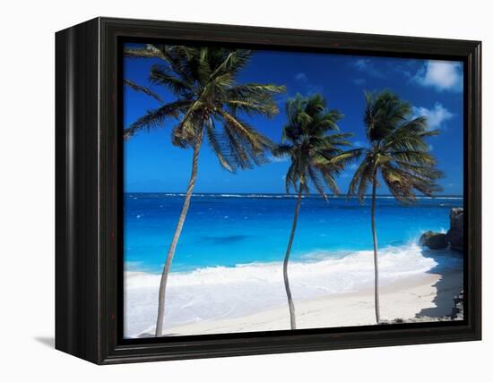 Bottom Bay, Barbados, West Indies, Caribbean, Central America-John Miller-Framed Premier Image Canvas