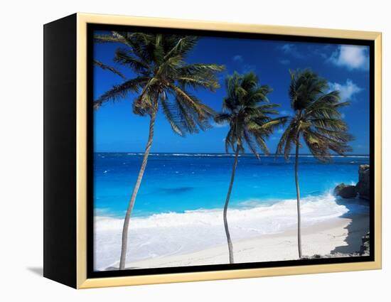 Bottom Bay, Barbados, West Indies, Caribbean, Central America-John Miller-Framed Premier Image Canvas