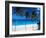 Bottom Bay, Barbados, West Indies, Caribbean, Central America-John Miller-Framed Photographic Print